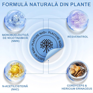 Plasturel® NAD+ — verso